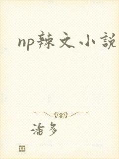 np辣文小说