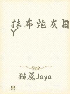 抹布炮灰日记BY