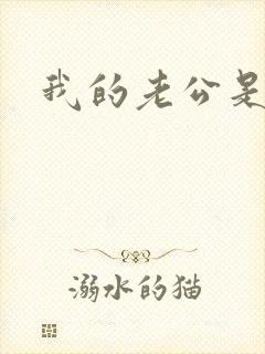 我的老公是冥王封面