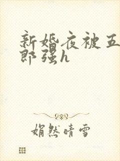 新婚夜被五个伴郎强h