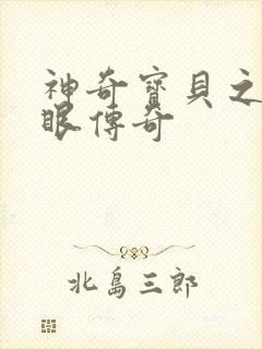 神奇宝贝之写轮眼传奇封面