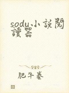 sodu小说阅读器
