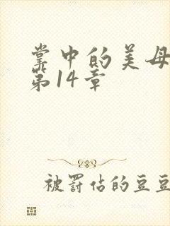 掌中的美母版主第14章