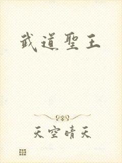 武道圣王封面