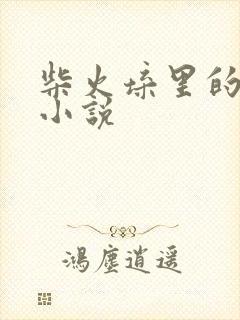 柴火垛里的疯狂小说