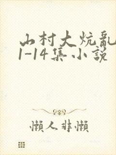 山村大炕乱肉续1-14集小说封面