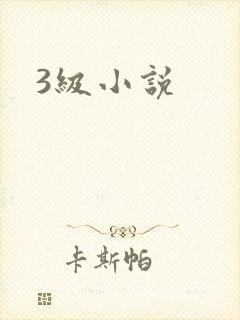 3级小说