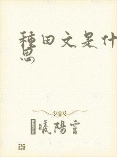 种田文是什么意思