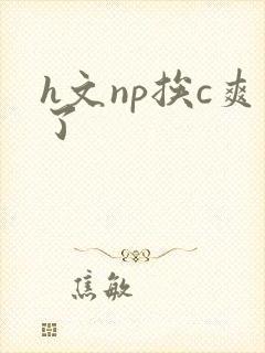 h文np挨c爽了