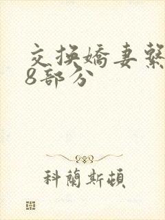 交换娇妻系列38部分