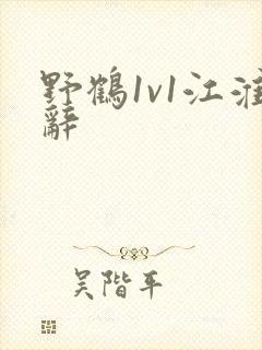 野鹤1v1江淮辞封面