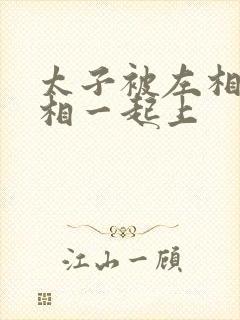 太子被左相和右相一起上