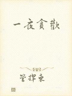 一夜贪欢