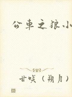 公车之狼小说