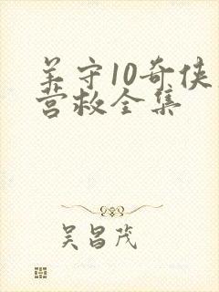 羊守10奇侠大营救全集封面