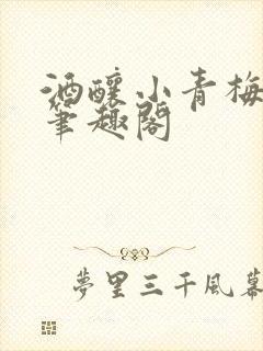 酒酿小青梅po笔趣阁