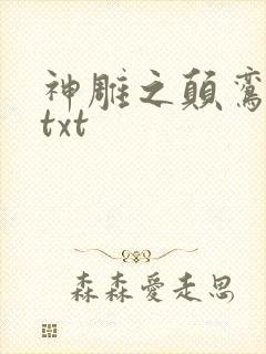 神雕之颠鸾倒凤txt