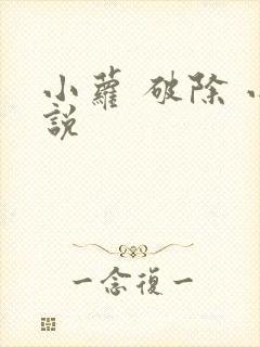 小萝 破除 小说