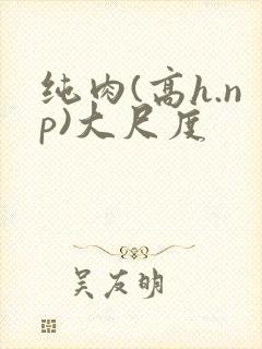 纯肉(高h.np)大尺度