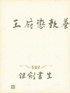 王府惩教养日常