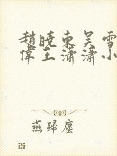 赵晓东吴雪晴郑伟王潇潇小说名字