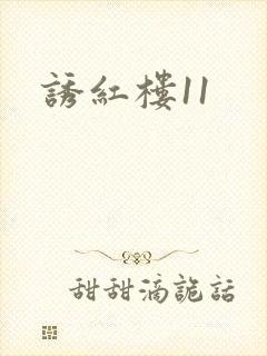 诱红楼11