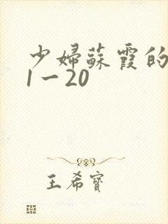 少妇苏霞的沉沦1一20