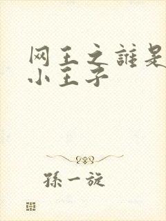 网王之谁是我的小王子
