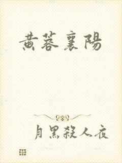 黄蓉襄阳