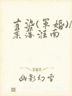 有染(军婚)/叶落淮南