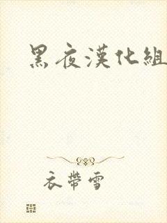 黑夜汉化组封面