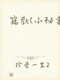 窃欢(小秘书)封面