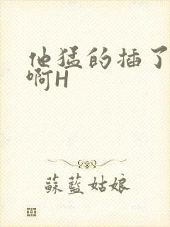 他猛的插了进去啊H