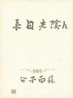 长日光阴h
