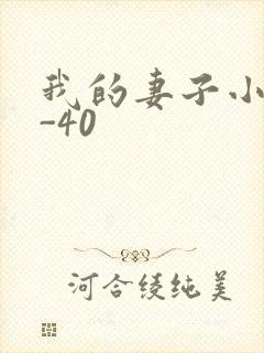 我的妻子小谨1-40封面