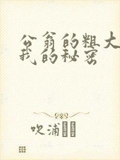 公翁的粗大放进我的秘密