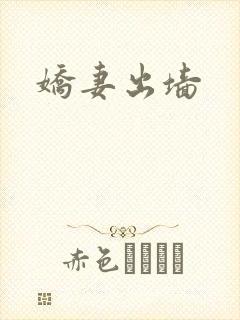 娇妻出墙封面