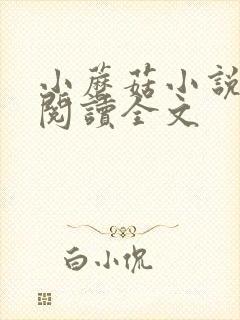 小蘑菇小说免费阅读全文