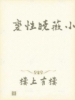 变性晓薇小说封面