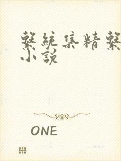 系统集精系统 小说封面