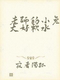 老师的小兔子好大好软水