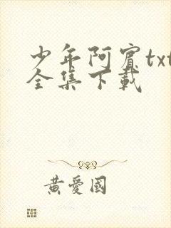 少年阿宾txt全集下载