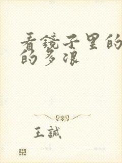 看镜子里的你叫的多浪