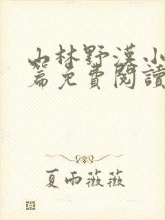 山林野汉小说全篇免费阅读