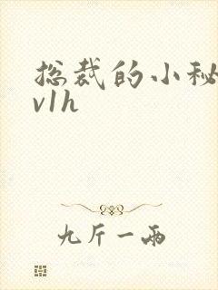 总裁的小秘书1v1h