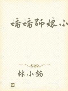 娇娇师娘小说封面