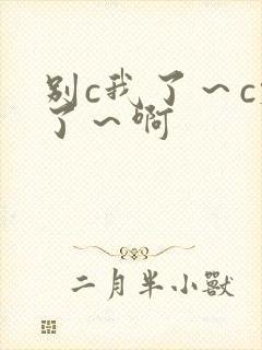 别c我了～c烂了～啊封面