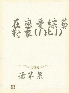 在恋爱综艺里搞对象(1比1)封面