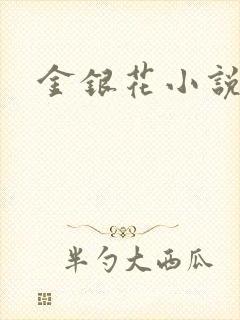 金银花小说乐可