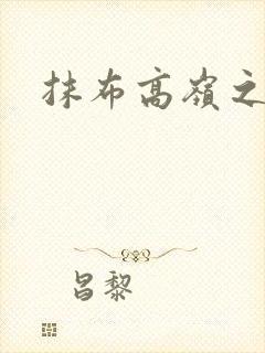 抹布高岭之花封面